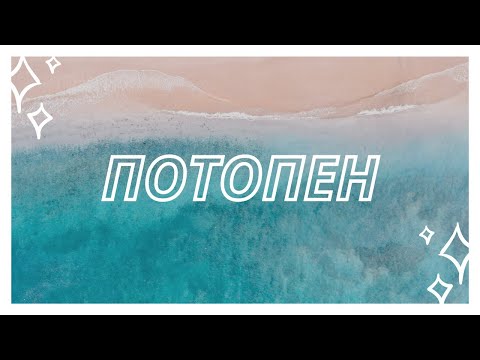 Видео: Потопен роголист