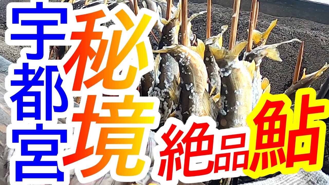 まもなくシーズン終了！知る人ぞ知る、宇都宮の超穴場！とれたて焼きたての絶品鮎をいただく！岡本観光やな【宇都宮市東岡本町】