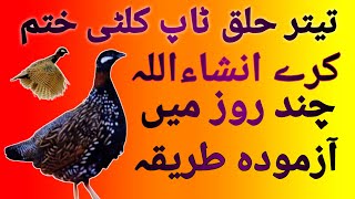 kala teetar kulti back top khatam kerne tareka #teetar #kalateetar