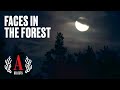 The Haunted Forest: Ghost Stories of the Roma