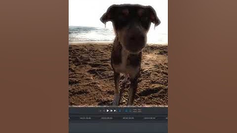Lightworks Tutorial: How to Add Effects in Lightworks