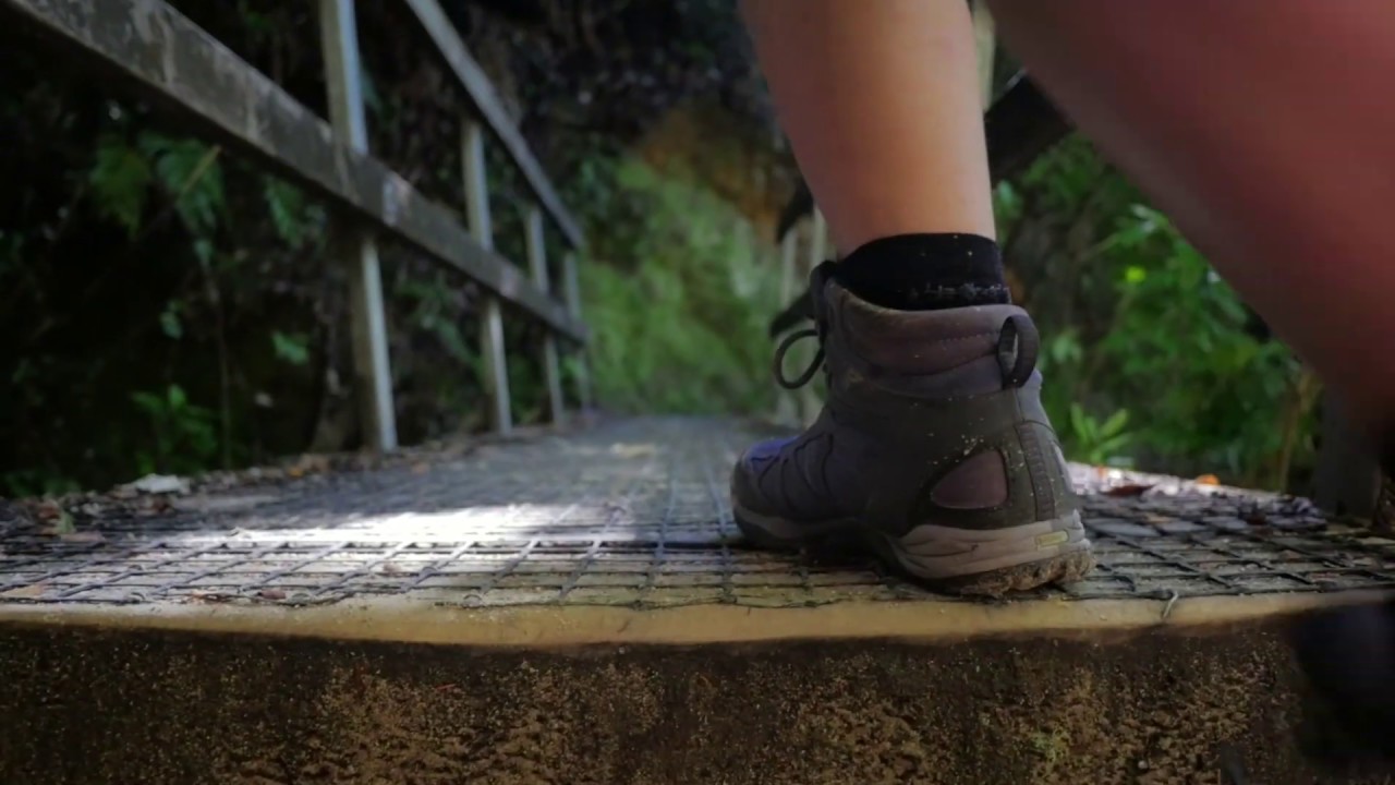 Marlborough Sounds and Abel Tasman Trails | Adventure South NZ