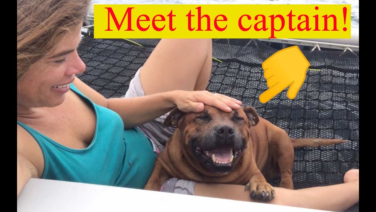 [Eps. 30] Sailor DOG meet the Staffordshire bull terrier boat captain...COMEX