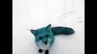 Nicolas Jaar - Episode 33 (Part 2)