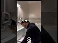#JasonDeruloTV // Mirror Photography Shot Tutorial 🙌 @photo_tvoritel