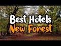 Best Hotels In New Forest - For Families, Couples, Work Trips, Luxury & Budget