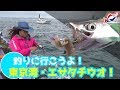 【つりにいこうよ。】東京湾のタチウオはこう釣れ！