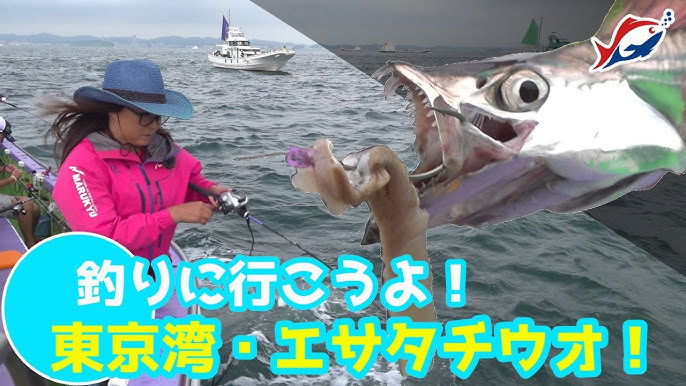 プロに学ぶ 東京湾 船タチウオの釣り方テクニック 釣果を伸ばすコツ Youtube プロに学ぶ 東京湾 船タチウオの釣り方テクニック 釣果を伸ばすコツ Youtube