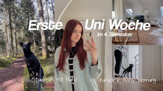 ERSTE UNIWOCHE im 4. Semester: Neue Routinen, Alltag mit Hund & Wohnungsupdate by Kim Jaro 877 views 2 weeks ago 10 minutes, 46 seconds