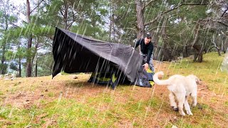 Caught in Thunderstorm With My Dog  Heavy Rain Never Stopped • Camping in Rain