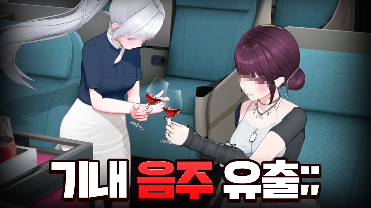 세구항공 스튜어디스와 xx만 인플루언서 기내 음주 영상.mp4