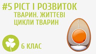 Ріст і розвиток тварин. Життєві цикли тварин #5