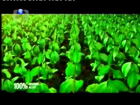 Indosiar La Menthol 21 32 (14/03)