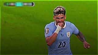 Araujo 4k clips onion 