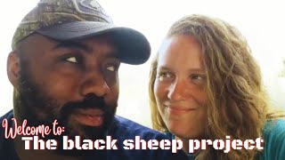 Intro for Black Sheep Project Channel