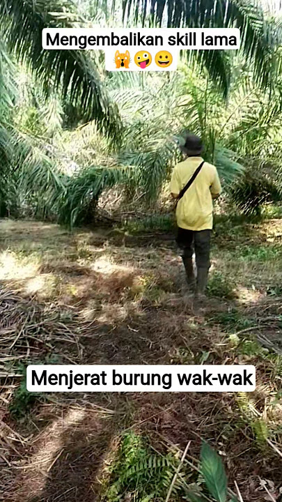 hasilnya nanti kita spill 🙀🤪#fishing #bosmuda #hutan #alam #ruak2 #burung
