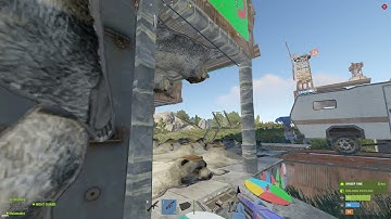 Rust - Base Designs - Bear Skins are Meta RN - Rustafied EU Long