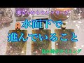 水面下の動きが激しいです❗️今苦しい方はもう少しだけ諦めないで待っていてください🙏【数秘術占い師のカードリーディング】