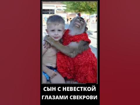Сын с невесткой глазами свекрови #свекровь #свекровьиневестка #свекр # ...