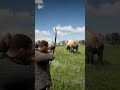You Won’t Believe in Arthur’s Survival Skills in RDR2 P1452 😳 #shorts #gaming