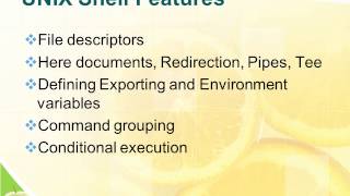 shell programming training | shell programming classes | unix shell programming course