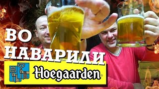 Варим домашнее пиво Хугарден (Hoegaarden)