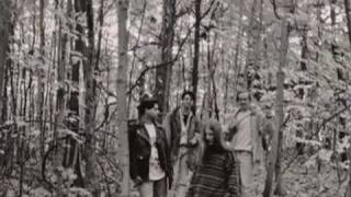 Shrinking Violet "A Little More Than Peace"