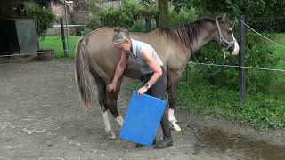 Angel Rx Prep 1Sep2023