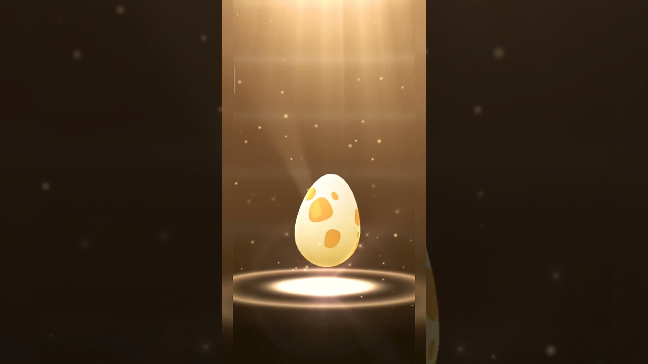 Hatched 5 km egg | hatching budew from 5km eggs 