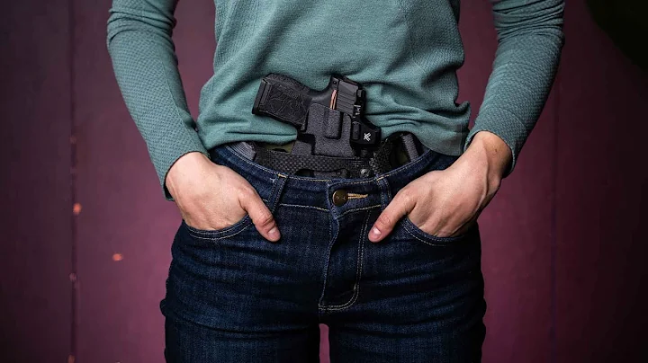 Reviewing the P365 380 AGAIN