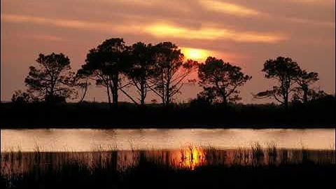 سورة ياسين بصوت القارئ بشار شريف