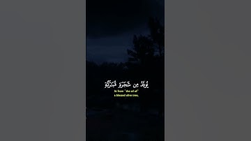 اللَّهُ نُورُ السَّمَاوَاتِ وَالْأَرْضِ –من سورة النور – بصوت القارئ بدر التركي