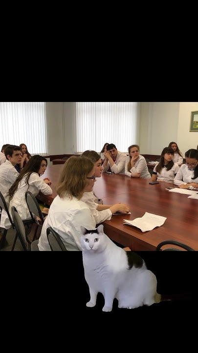 РНИМУ Гистология Коллоквиум #мем #коты - YouTube