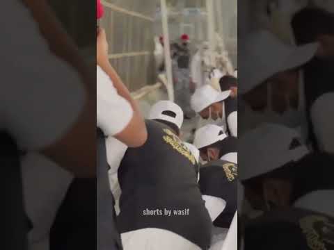 ماشاءالله تبارك الله كسوا كعب منى