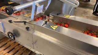 Record Panda E flowpackmachine met aanvoersysteem