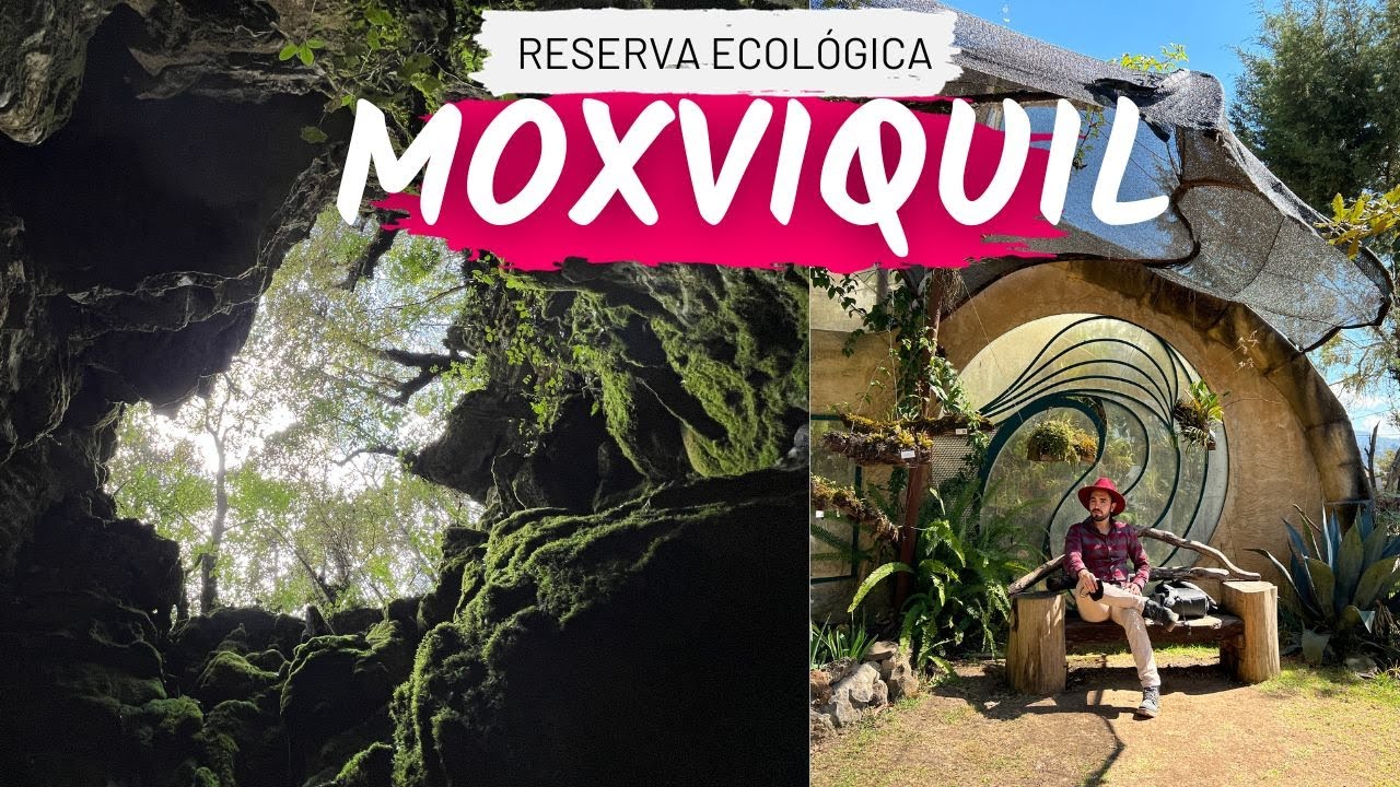 Reserva Ecológica Moxviquil, el jardín botánico de San Cristobal de las Casas Chiapas