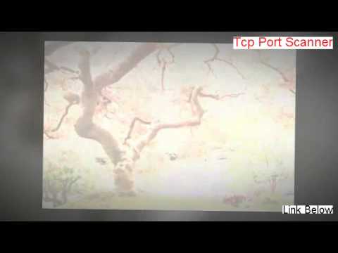 Tcp Port Scanner Free Download (Risk Free Download 2014)