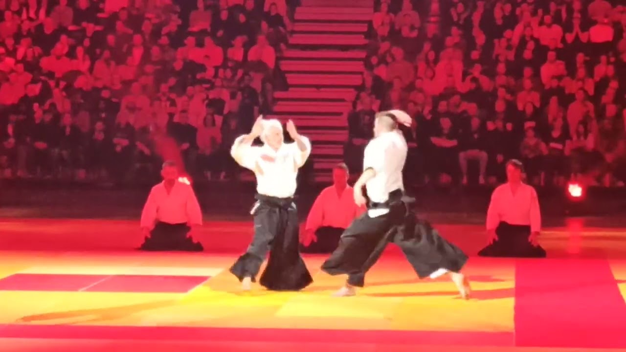 38 ème festival des arts martiaux, aïkido, Bruno Gonzalez