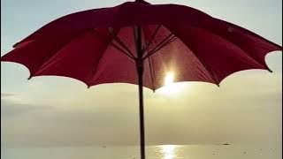 VIDEO CINEMATIC 30 DETIK || CINEMATIC AESTHETIC