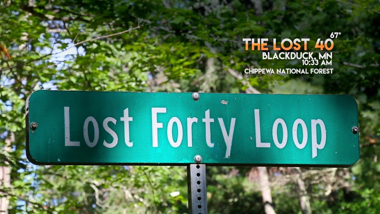 The Lost Forty MN June 2018 YouTube