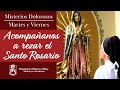 Pray the Rosary IN SPANISH | The Sorrowful Mysteries | Sisters of Mary, Mother of the Eucharist