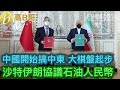 中國開始搞中東 大棋盤起步 沙特伊朗協議石油人民幣 ［智慧如水］ 20210328