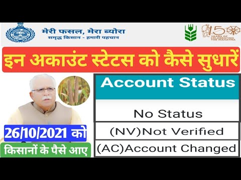 Meri fasal mera byora no account status|ekharid Haryana account status not verified|bajari ka paise|