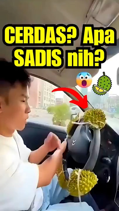 DURIAN Steering Wheel ⁉️ Funny, Makes Adrenaline Increase 2x When Driving a Car 🤣🍈 #funnyshorts #...