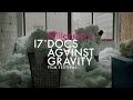 Wesołych Świąt, Yiwu  (Merry Christmas, Yiwu) - fragment filmu | 17. Millennium Docs Against Gravity