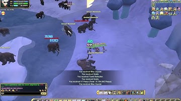 Flyff Universe 1v1 Ranger MIA