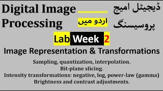 Famous Lab week 2: Sampling, quantization, Bit-plane slicing, Intensity transformations, Brightness | Wealth
