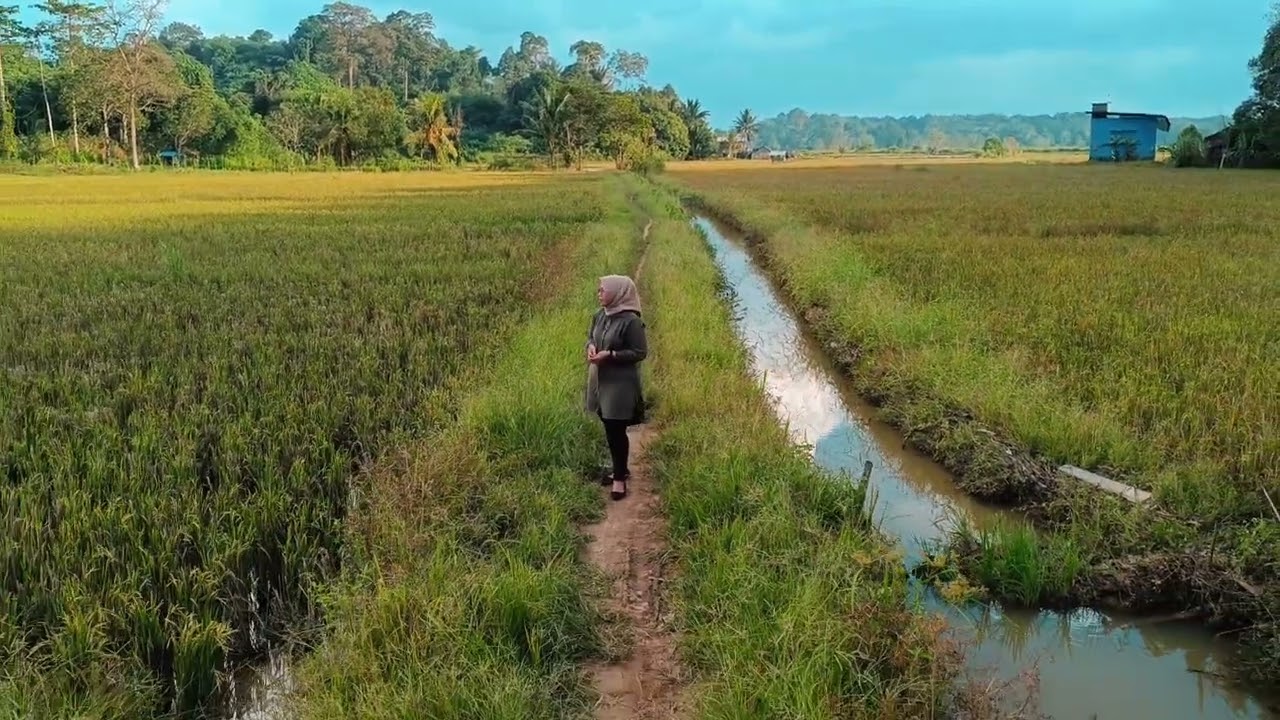 coming soon (cover tingkilan undur hudang )