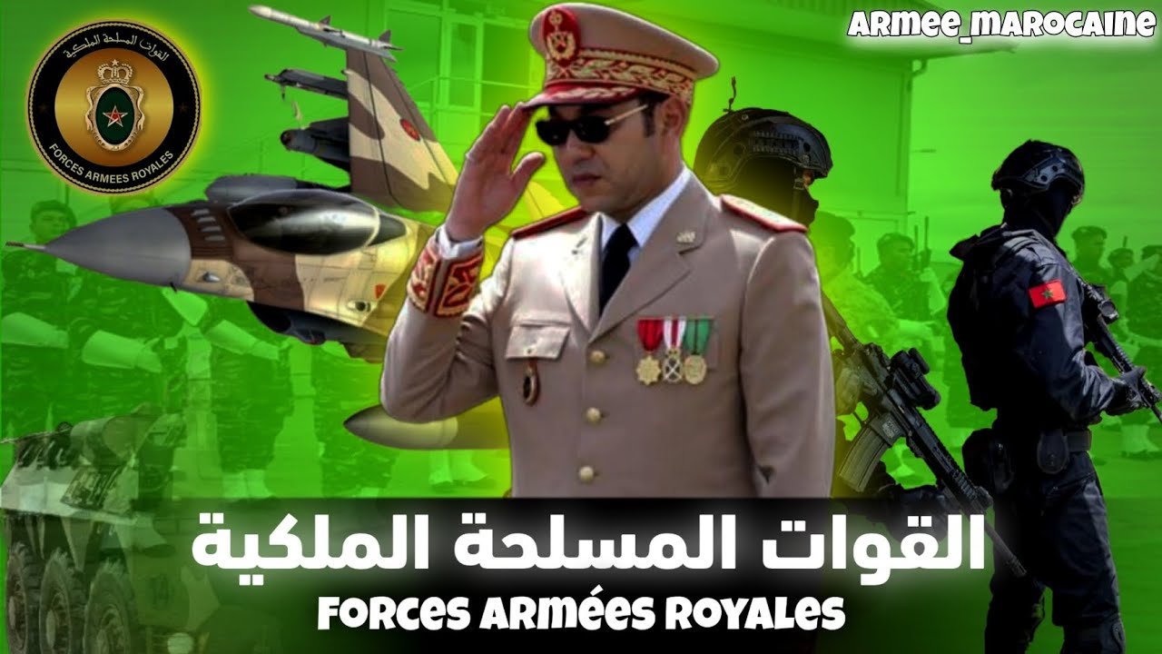 القوات المسلحة الملكية/ ورقة تعرفية / الأسلاك / الأفراع / الترسنة العسكرية / الرتب العسكرية / 2023