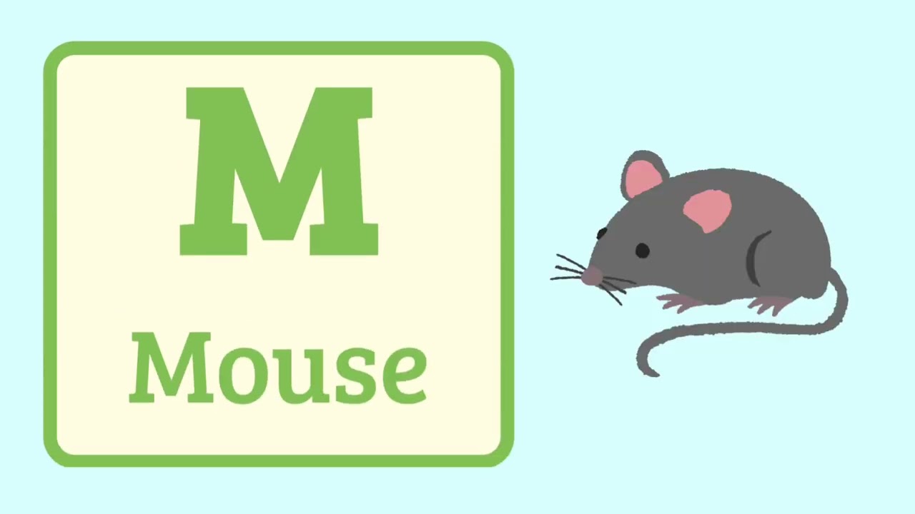 A to Z Alphabet for Kids | ABC Learning Video | Preschool & Nursery @Learnwithcandykids19 